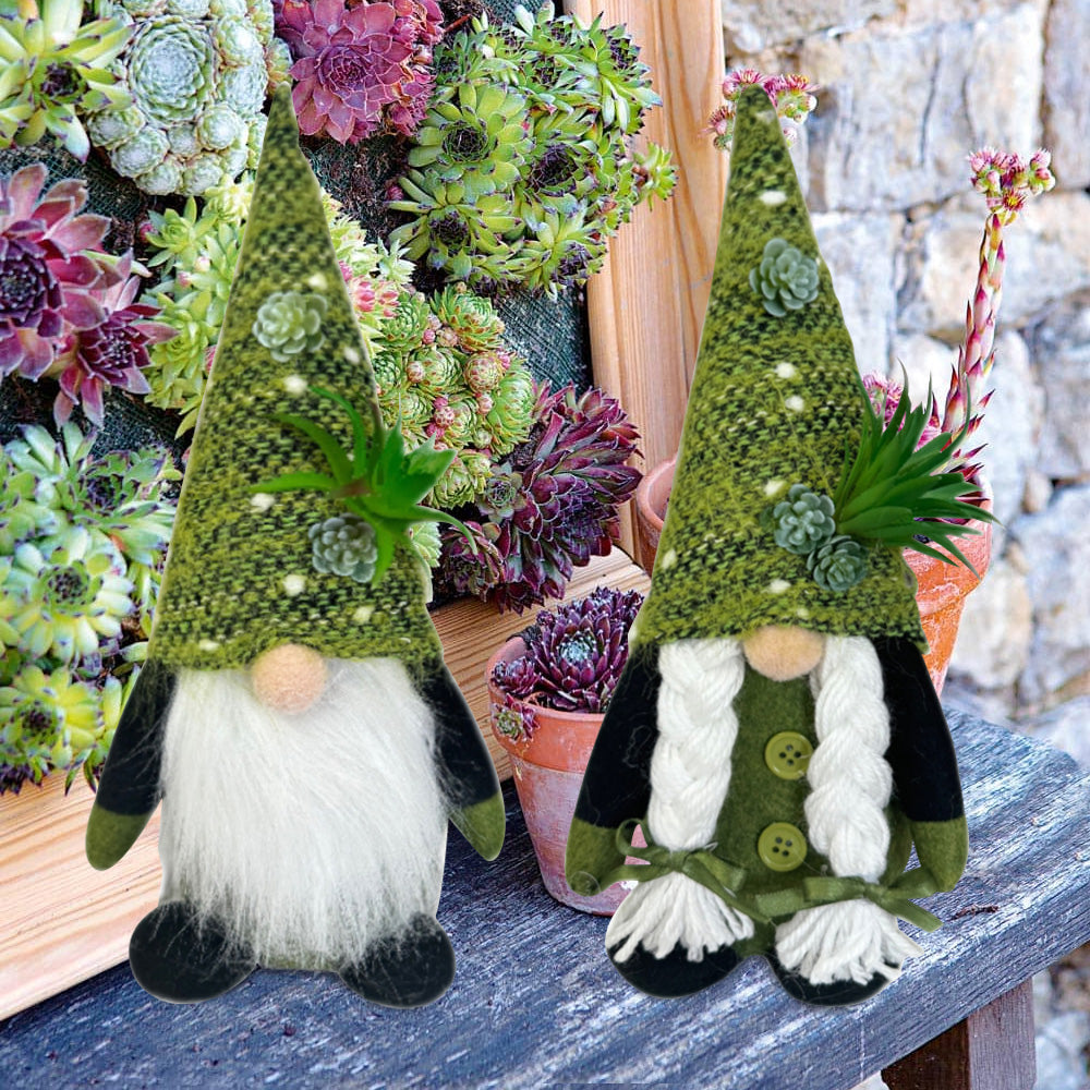 Spring Succulent gnome