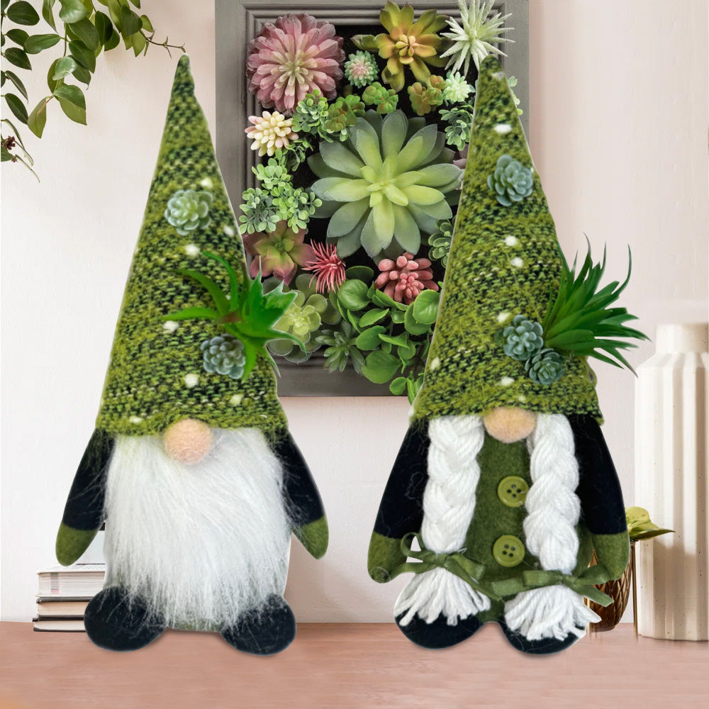 Spring Succulent gnome